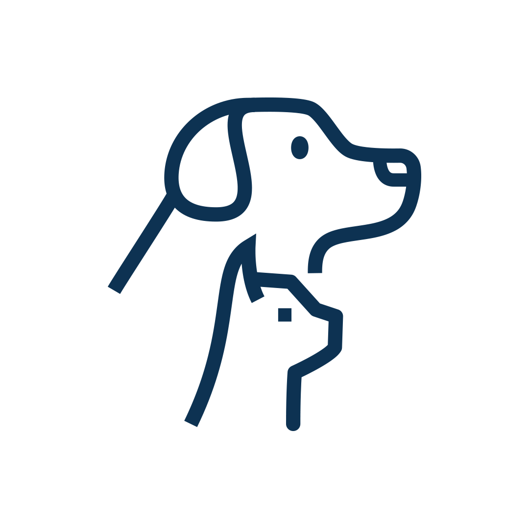 animal services